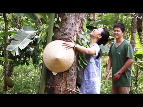Vietnamese cashew nuts and farming, Saigon Special [DE/EN Sub]