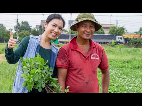 Erdnüsse anbauen im Süden Vietnam - Teil 1 [Saigon Special]